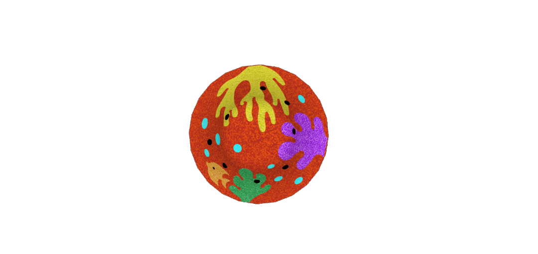 S01 044 Coralrev 3d coralrev i 3D for lekeplassen rød, gul, lilla og orange