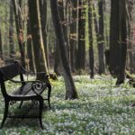 Ulefosbenken Vår Ulefoss benken i sort accoya