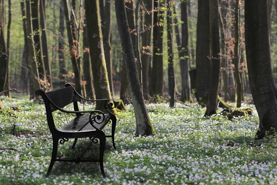 Ulefosbenken Vår Ulefoss benken i sort accoya
