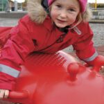 50-163-900_20 Marihøne