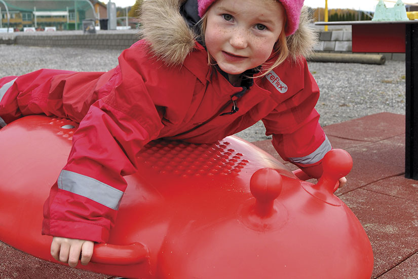 50-163-900_20 Marihøne