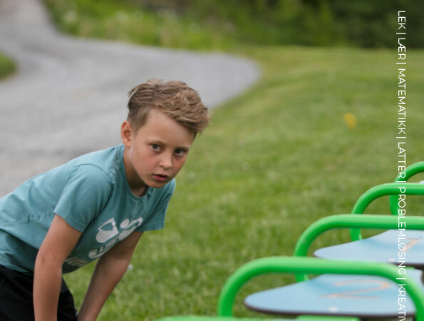 Oppgavesett Brøkvippe