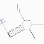 Workout set 4 fallhøyde <1,5 m