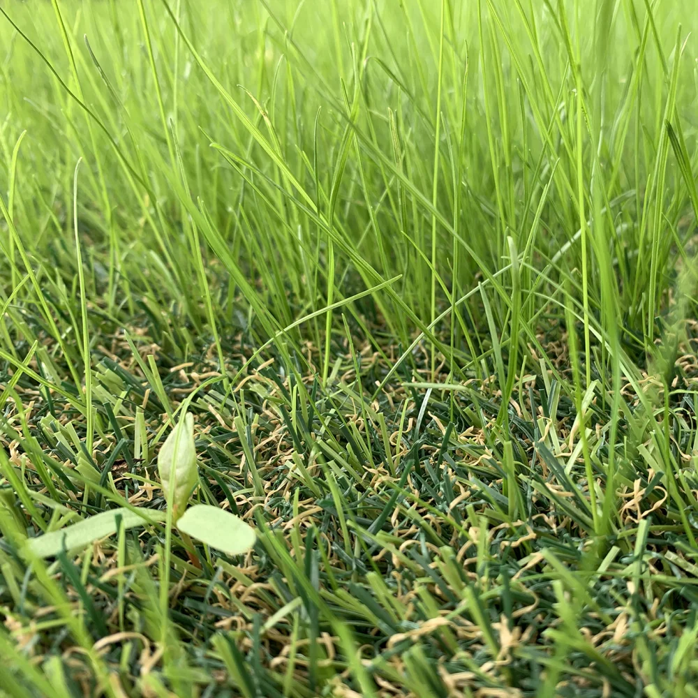 Hybridgress Hybrid-30 ECO