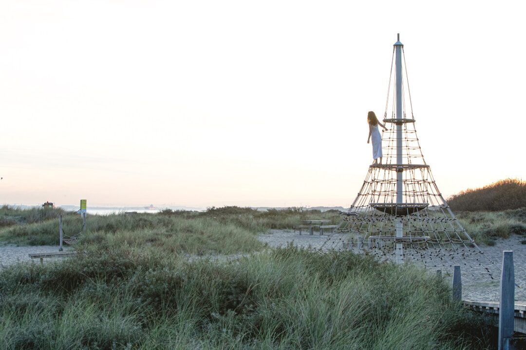 Nettpyramide XXL Dino