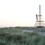 Nettpyramide XXL Dino